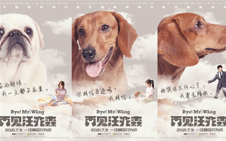  电影《再见汪先森》发布角色海报 萧子墨张国强上演宠物奇缘