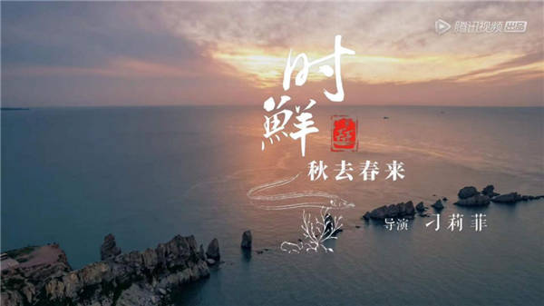 《风味人间3·大海小鲜》追风逐浪觅时鲜 千姿百态纵人生