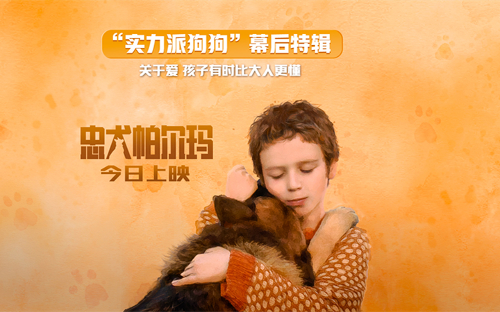 让孩子受益一生的治愈系电影《忠犬帕尔玛》今日上映