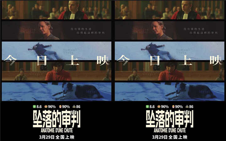 电影《坠落的审判》今日上映 影后桑德拉·惠勒全中文问好尽显诚意